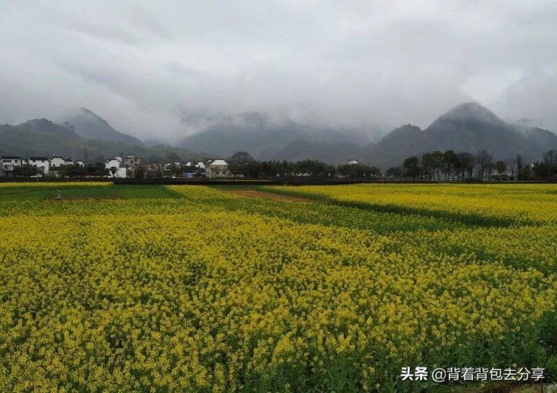 安徽旅游必去十大景点(安徽旅游景点大全排名榜)-1 安徽旅游必去十大景点(安徽旅游景点大全排名榜)-1