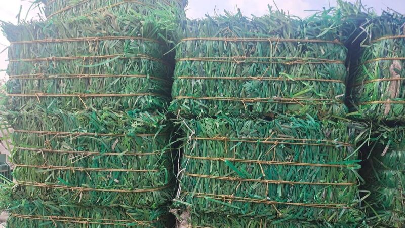 加盟家庭办厂加工-1 加盟家庭办厂加工-1