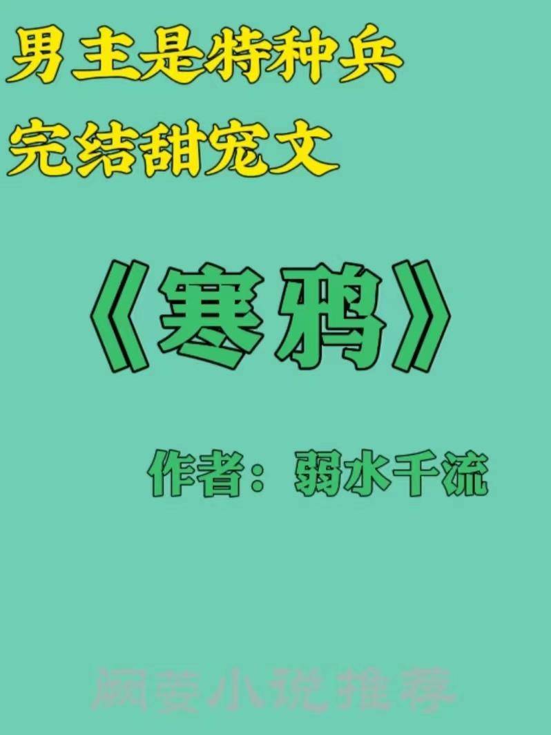 特种兵小说排行榜完本前十名(主角当特种兵的小说)-1