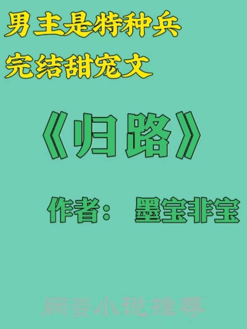 特种兵小说排行榜完本前十名(主角当特种兵的小说)-1