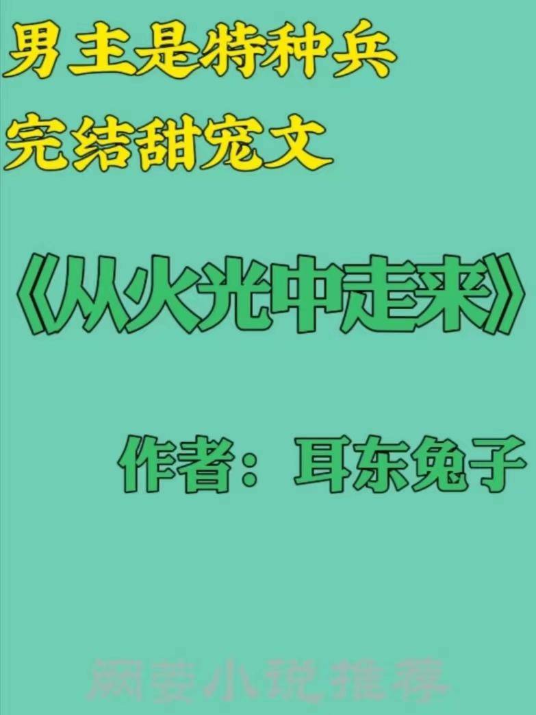 特种兵小说排行榜完本前十名(主角当特种兵的小说)-1