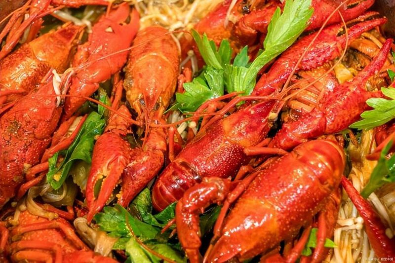 没人愿意干的68个暴利行业-1 没人愿意干的68个暴利行业-1