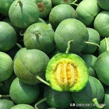 农村种植什么赚钱不愁销路(未来10大暴利种植)-1 农村种植什么赚钱不愁销路(未来10大暴利种植)-1