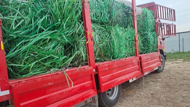 加盟家庭办厂加工-1 加盟家庭办厂加工-1