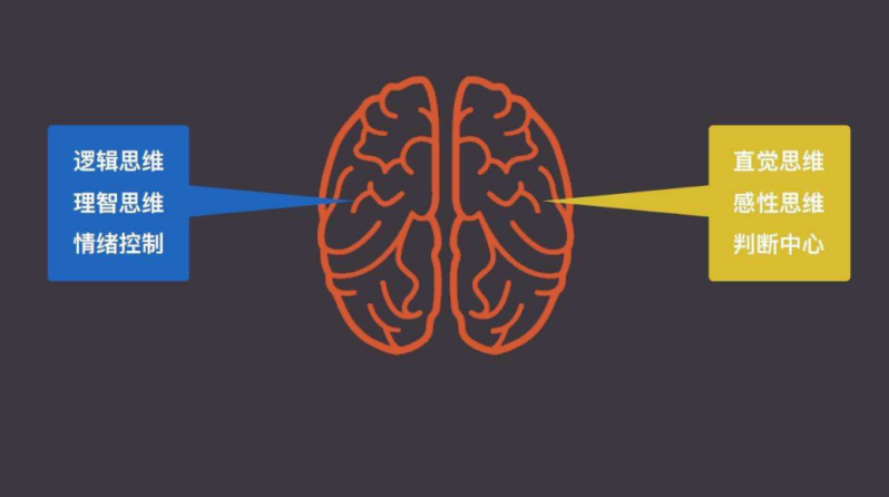 论理性与感性的关系(论理性与感性的重要总结)-1 论理性与感性的关系(论理性与感性的重要总结)-1