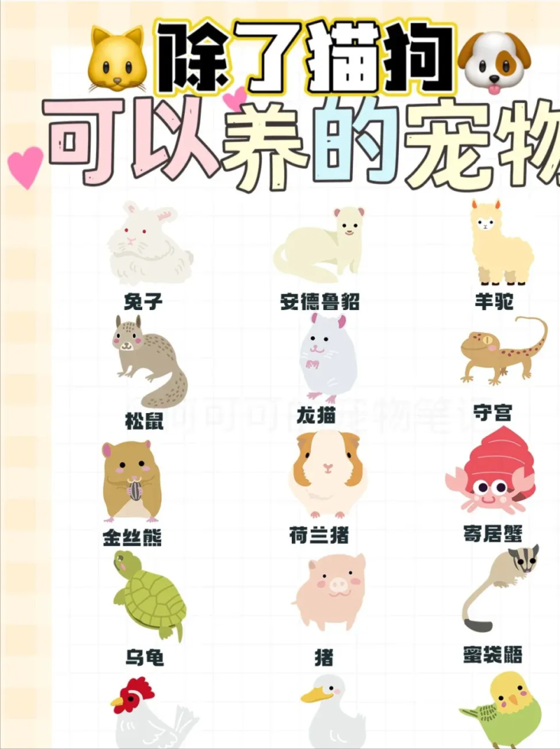 未来10年最赚钱行业(未来十年最吃香的行业)-1 未来10年最赚钱行业(未来十年最吃香的行业)-1