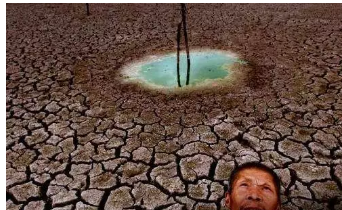 微信程序赚钱赚几百万是真的吗(案例分享)-1 微信程序赚钱赚几百万是真的吗(案例分享)-1