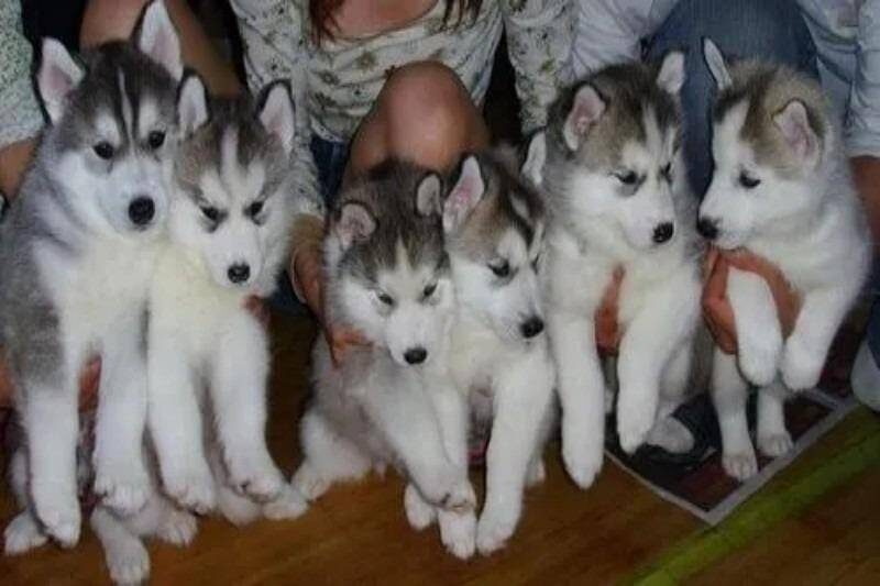 小县城做什么生意长久赚钱-1 小县城做什么生意长久赚钱-1