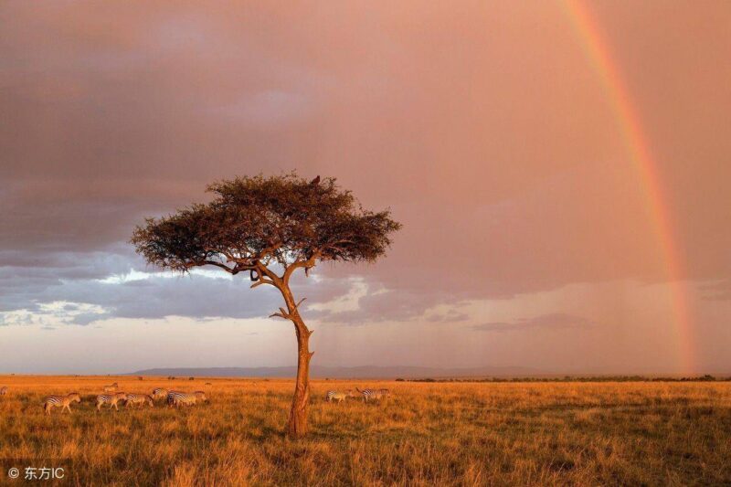 电商五行属于什么行业(互联网电商五行属性)-1 电商五行属于什么行业(互联网电商五行属性)-1