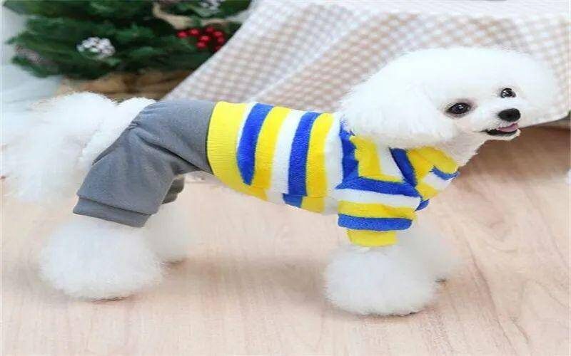 做什么生意本小利大(本小利大的冷门小生意)-1