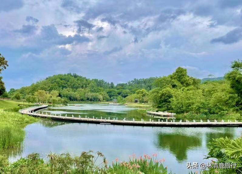 夏天最适合旅游的地方(10个夏天的最佳旅行地点排行榜)-1