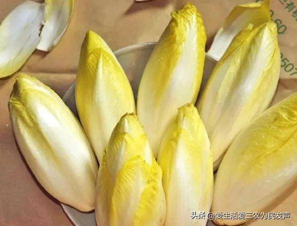 新农业创业项目有哪些（农村发展致富项目大全）-1