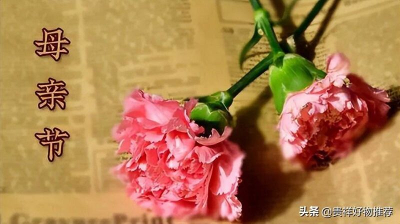 母亲节2022年是几月几日(5月8日母亲节)-1