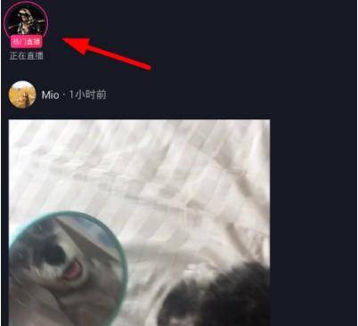 抖音粉丝团怎么开通(加入抖音粉丝团图文讲解)-赚在家创业号