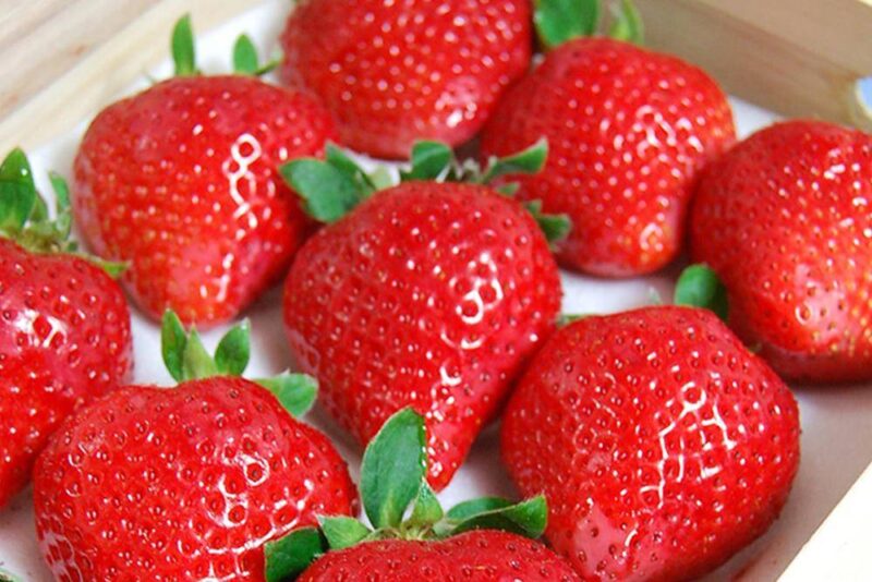 世界十大奢侈水果排名(世界十大土豪水果排行榜)-1 世界十大奢侈水果排名(世界十大土豪水果排行榜)-1