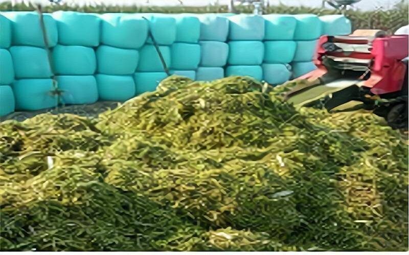 投资小的生意赚钱项目有哪些？投资小赚钱快的18个创业项目-1