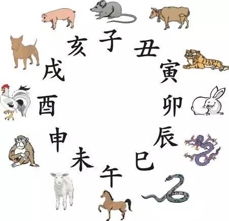 十二生肖排序（十二生肖的顺序表）-1