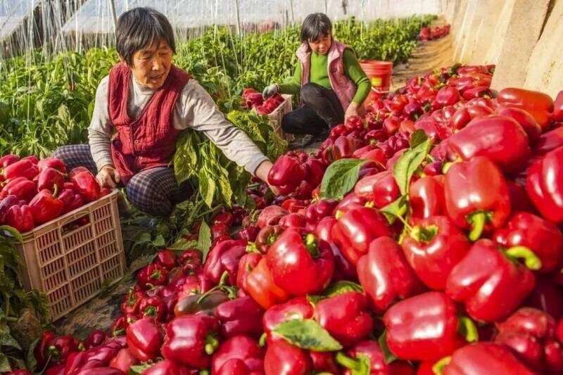 投资小的生意赚钱项目有哪些？投资小赚钱快的18个创业项目-1