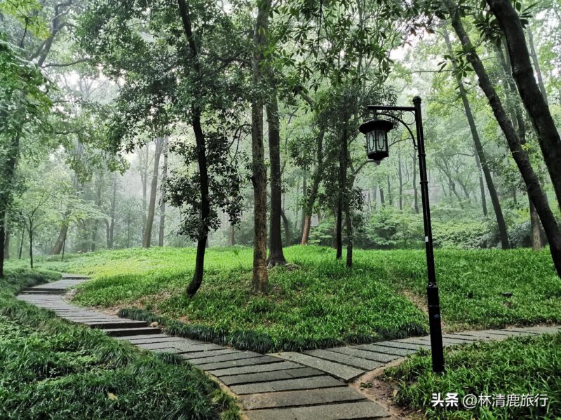 夏天最适合旅游的地方(10个夏天的最佳旅行地点排行榜)-1