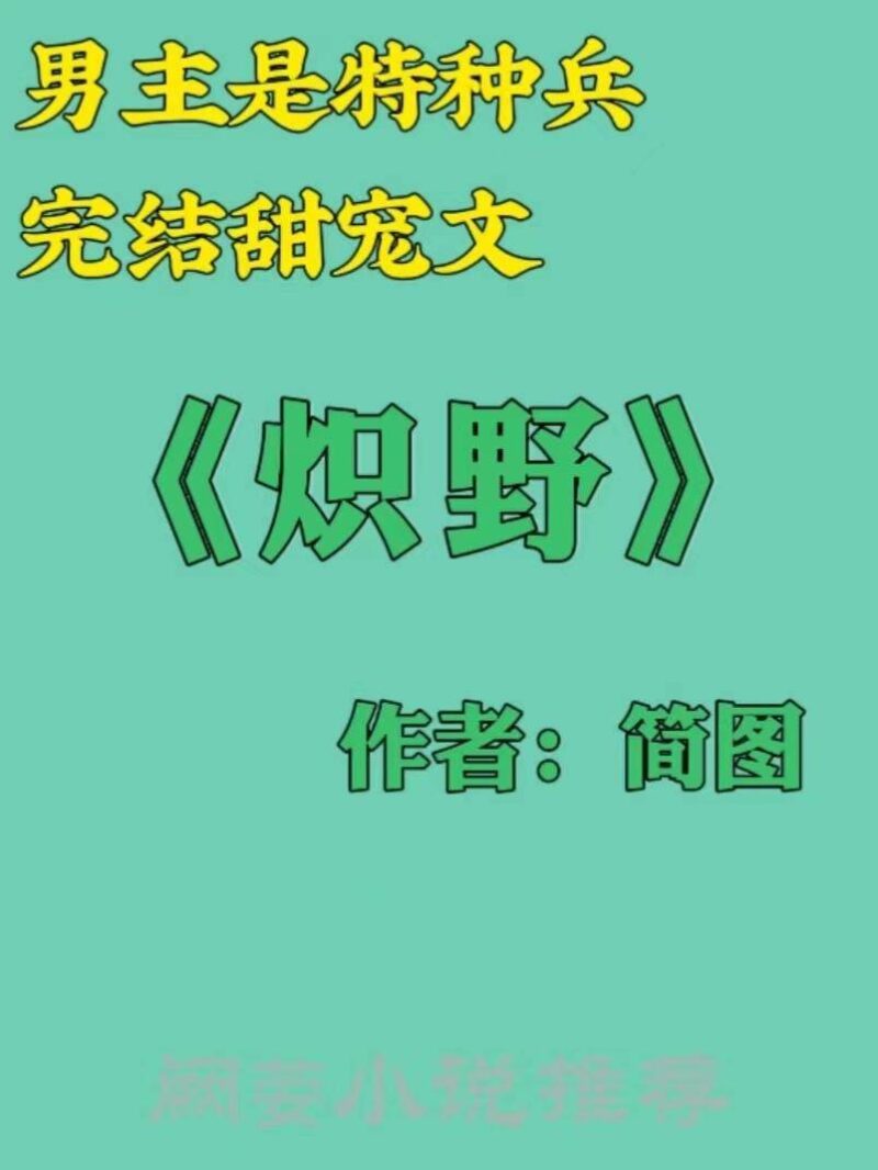 特种兵小说排行榜完本前十名(主角当特种兵的小说)-1