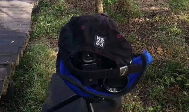 怎么查快递单号?直接输入手机号查快递方法-1 怎么查快递单号?直接输入手机号查快递方法-1