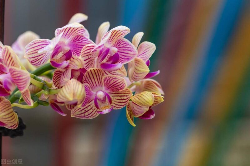 初次创业开什么店合适-1 初次创业开什么店合适-1