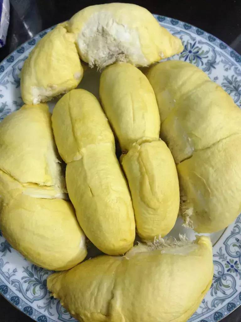 长柄榴莲是什么品种(世界十大顶级榴莲)-1