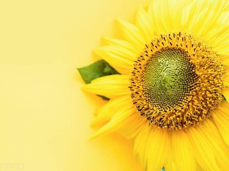 初次创业开什么店合适-1 初次创业开什么店合适-1