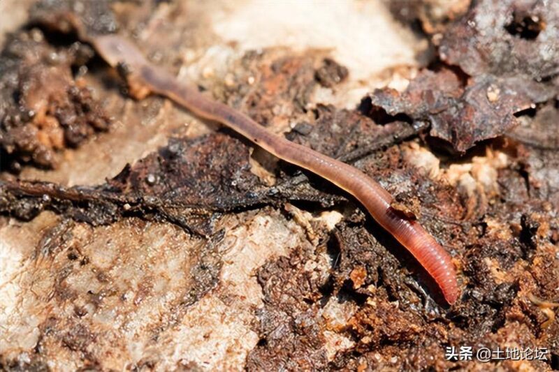 乡镇最缺什么生意(乡镇空缺生意)-1 乡镇最缺什么生意(乡镇空缺生意)-1