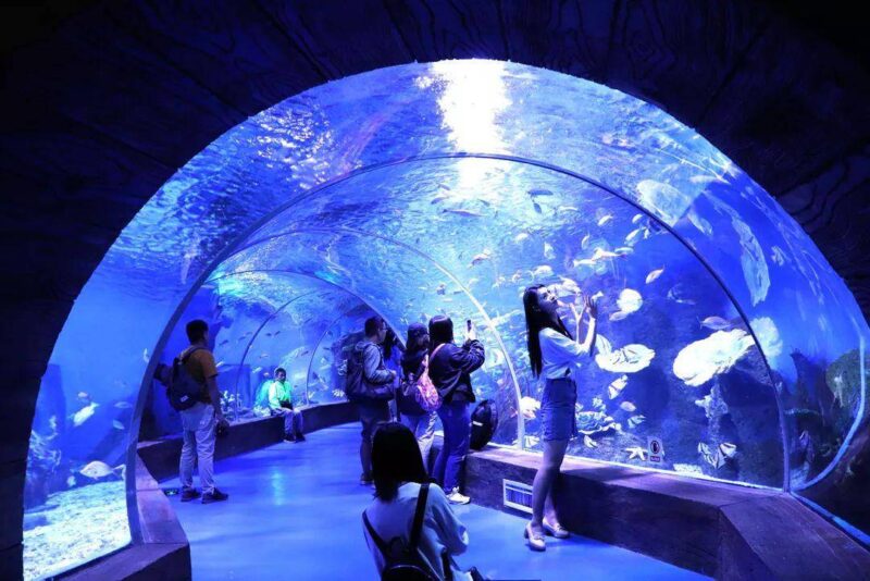 昆明周边附近好玩的地方有哪些(适合亲自游玩的地方)-1 昆明周边附近好玩的地方有哪些(适合亲自游玩的地方)-1