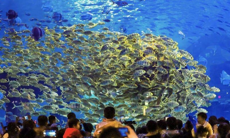 昆明周边附近好玩的地方有哪些(适合亲自游玩的地方)-1 昆明周边附近好玩的地方有哪些(适合亲自游玩的地方)-1