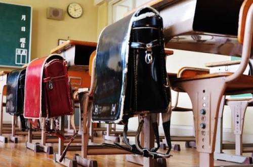 书包品牌十大排名(儿童护脊书包品牌排行榜)-1 书包品牌十大排名(儿童护脊书包品牌排行榜)-1