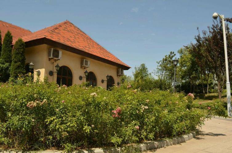 西安旅游景点排名前十名(西安十大名胜古迹简介)-1 西安旅游景点排名前十名(西安十大名胜古迹简介)-1