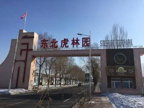 哈尔滨必去的旅游景点有哪些?哈尔滨十大旅游景点大全-1