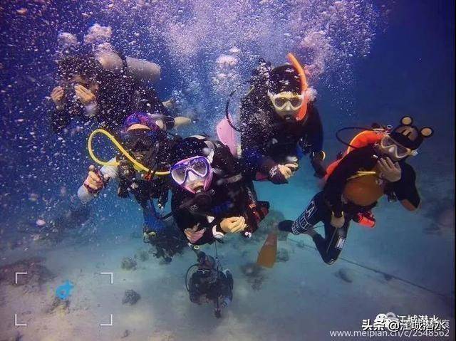 潜水是什么意思(潜水的深层含义)-赚在家创业号