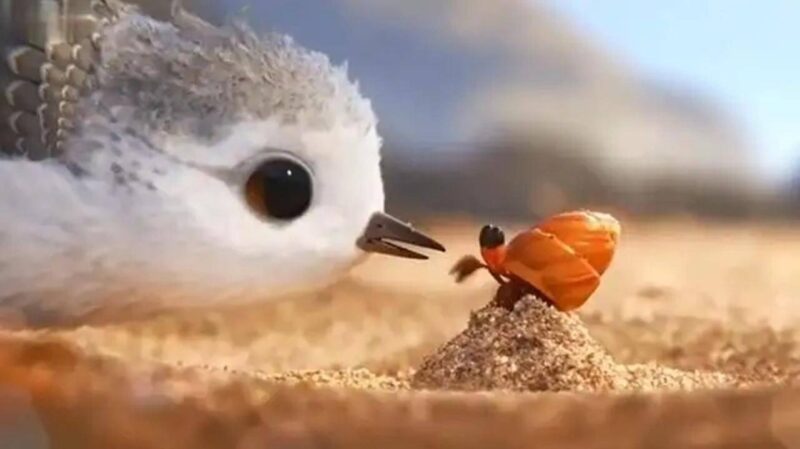 幼儿必看的十部教育动画电影(幼儿必看的十部动画片排行榜)-1 幼儿必看的十部教育动画电影(幼儿必看的十部动画片排行榜)-1