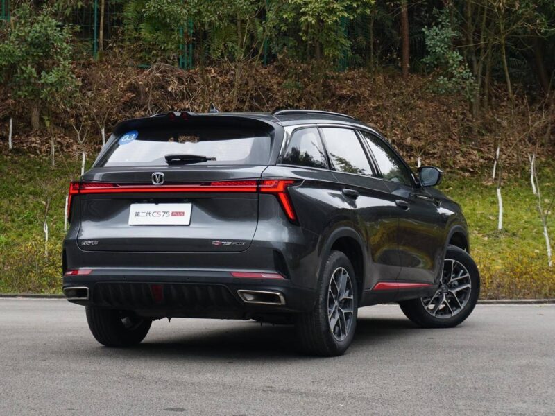 suv销量排行榜（suv排名前十名）-1