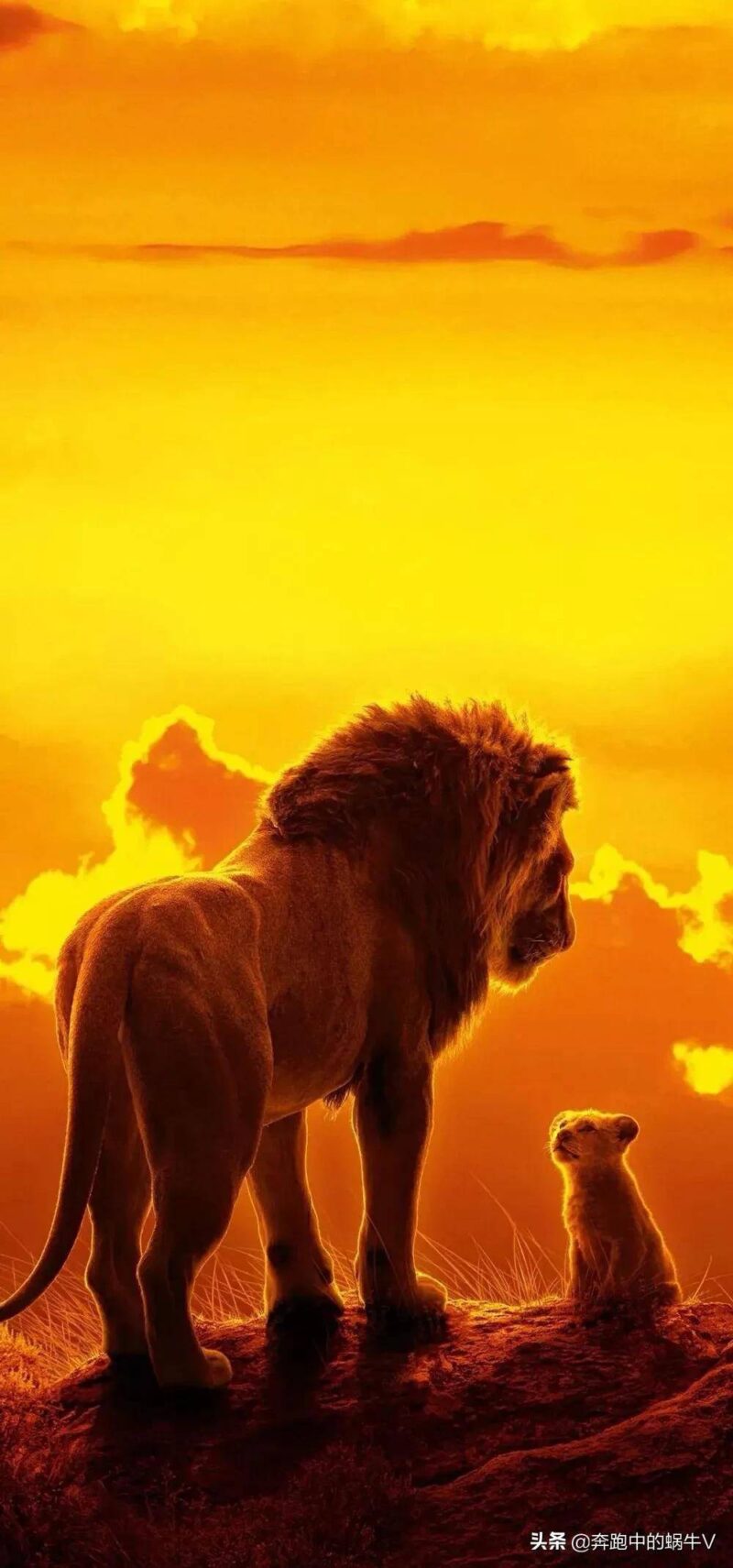 儿童动画片排行榜(十部教育孩子的动画片)-1 儿童动画片排行榜(十部教育孩子的动画片)-1