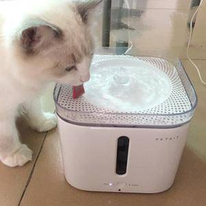 第一次养猫需要注意什么？新手养猫必备清单-1