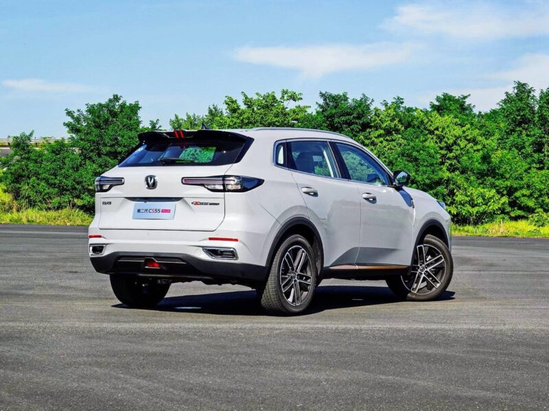 suv销量排行榜（suv排名前十名）-1