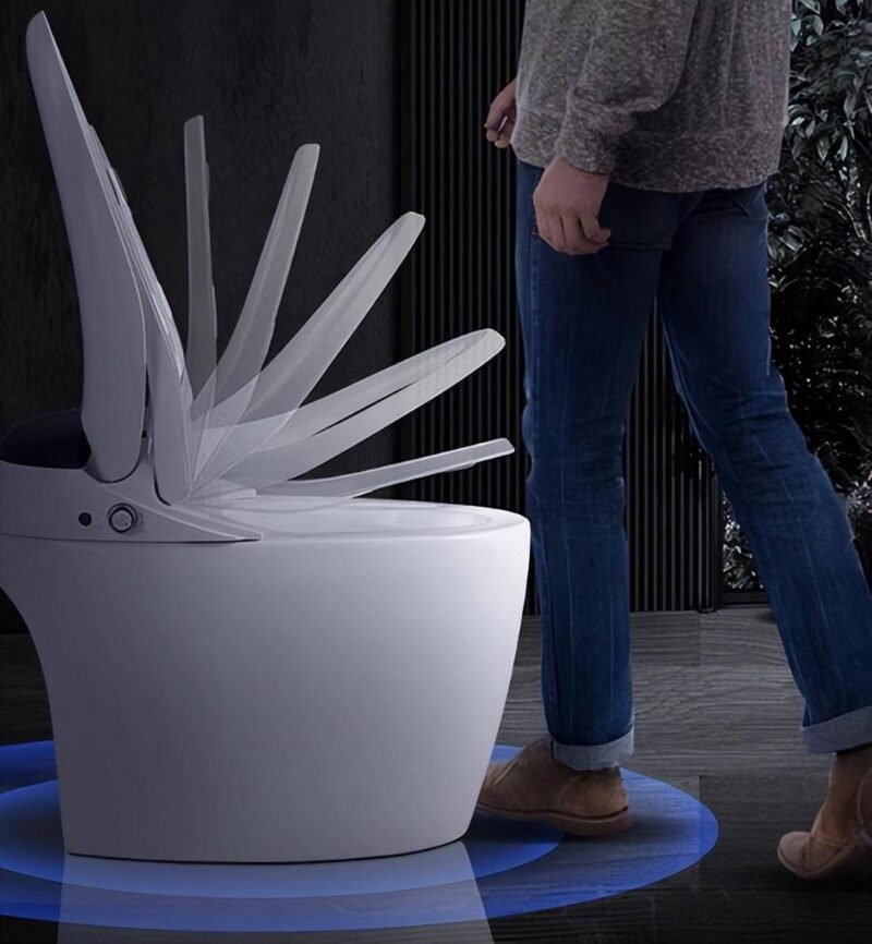 智能马桶什么牌子好呢?智能马桶排行榜-1 智能马桶什么牌子好呢?智能马桶排行榜-1