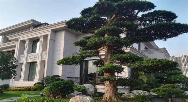 在家养什么能挣钱投资小的-1 在家养什么能挣钱投资小的-1