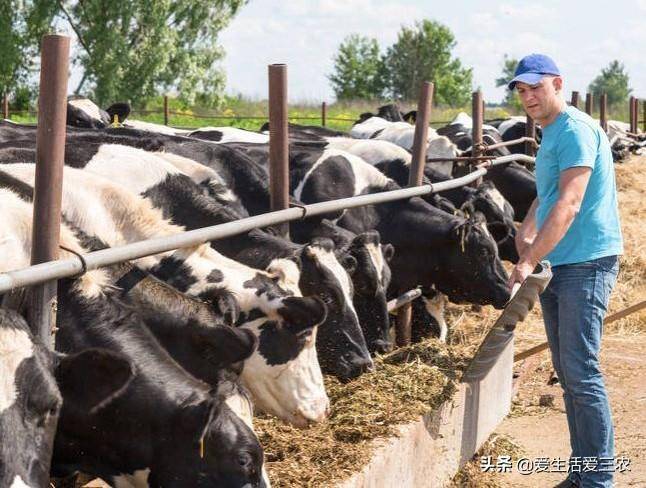 农村致富办厂项目有哪些呢？致富经创业项目-1