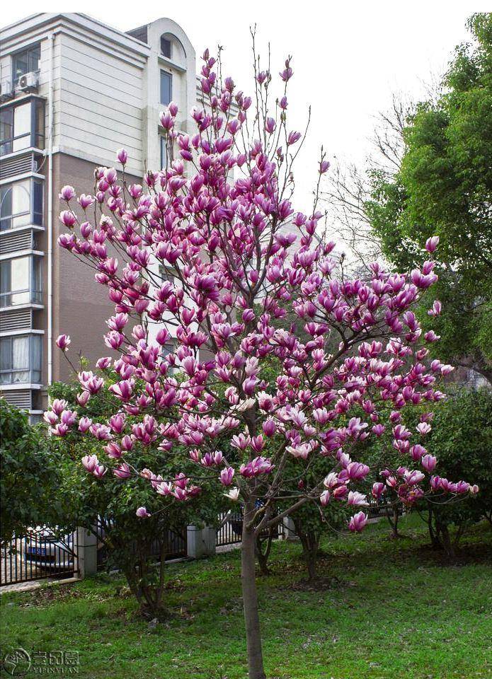 在家养什么能挣钱投资小的-1 在家养什么能挣钱投资小的-1