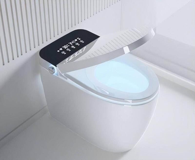 智能马桶什么牌子好呢?智能马桶排行榜-1 智能马桶什么牌子好呢?智能马桶排行榜-1