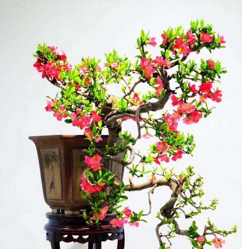 在家养什么能挣钱投资小的-1 在家养什么能挣钱投资小的-1