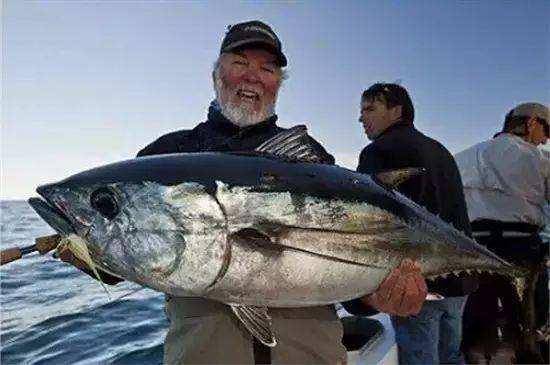 最贵的海鲜排行榜(世上最贵的海鲜)-1 最贵的海鲜排行榜(世上最贵的海鲜)-1