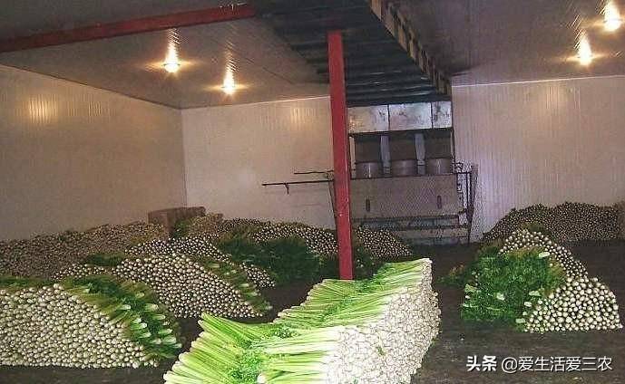 农村致富办厂项目有哪些呢？致富经创业项目-1