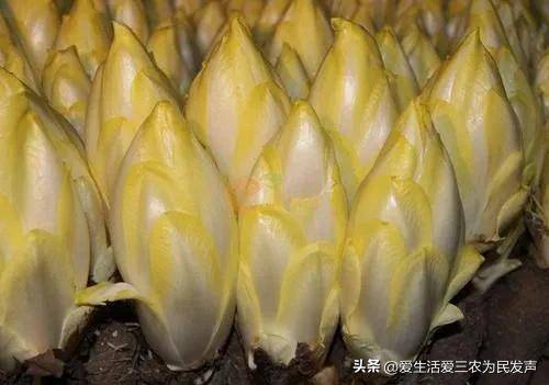 开什么店赚钱快?合适年后做5个小生意-1 开什么店赚钱快?合适年后做5个小生意-1