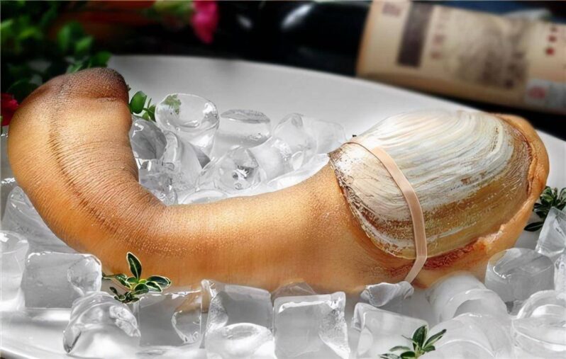 最贵的海鲜排行榜(世上最贵的海鲜)-1 最贵的海鲜排行榜(世上最贵的海鲜)-1